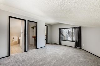 Photo 12: 4830 70 Street NW in Calgary: Bowness Detached for sale : MLS®# A2022140