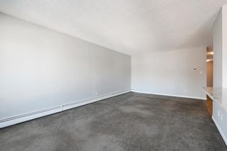 Photo 20: 605 1234 14 Avenue SW in Calgary: Beltline Apartment for sale : MLS®# A2033029