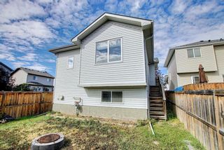 Photo 43: 105 LUXSTONE Place SW: Airdrie Detached for sale : MLS®# A1029753