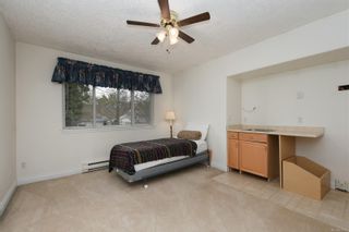 Photo 19: 4146 Cedar Hill Rd in Saanich: SE Mt Doug House for sale (Saanich East)  : MLS®# 871095