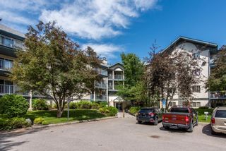 Photo 23: 202 21 Dover Point SE in Calgary: Dover Apartment for sale : MLS®# A1236669