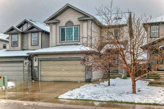 Main Photo: 100 Cranberry Circle SE in Calgary: Cranston Detached for sale : MLS®# A2123439
