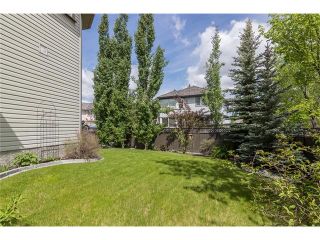 Photo 33: 402 MT DOUGLAS Green SE in Calgary: McKenzie Lake House for sale : MLS®# C4066841