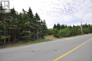 Photo 2: 71 Patrick's Path in Torbay: Vacant Land for sale : MLS®# 1253922