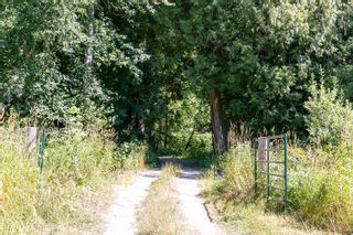 Photo 25: 9505 LILLOOET FOREST SERVICE Road in Pemberton: Pemberton Meadows Land for sale : MLS®# R2727152