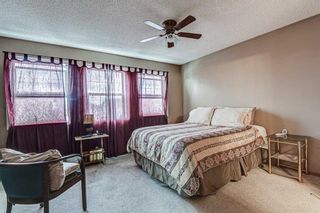 Photo 17: 165 Coventry Court NE in Calgary: Coventry Hills Detached for sale : MLS®# A1112287