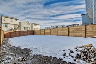 Photo 45: 56 Rowley Terrace NW in Calgary: C-483 Detached for sale : MLS®# A2024659
