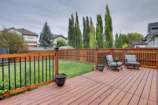 Photo 40: 10 CRANWELL Link SE in Calgary: Cranston Detached for sale : MLS®# A1036167