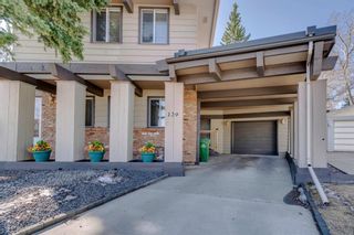 Photo 5: 139 Cantrell Place SW in Calgary: Canyon Meadows Detached for sale : MLS®# A1096230