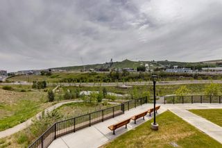 Photo 29: 1209 80 Greenbriar Place NW in Calgary: Greenwood/Greenbriar Apartment for sale : MLS®# A2052988