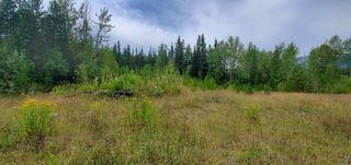 Photo 13: LOT A 37 Highway: Kitwanga Land for sale (Smithers And Area (Zone 54))  : MLS®# R2506362