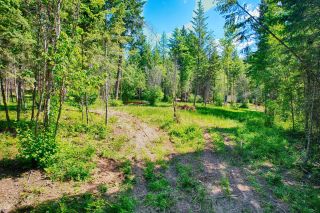 Photo 17: 935 36TH AVENUE N in Creston: Vacant Land for sale : MLS®# 2476115