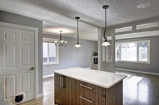 Photo 7: 4604 Maryvale Drive NE in Calgary: Marlborough Detached for sale : MLS®# A1090414
