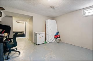 Photo 19: 152 Doverglen Crescent SE in Calgary: Dover Semi Detached (Half Duplex) for sale : MLS®# A2043067