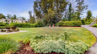 Photo 37: 62 7059 210 Street in Langley: Willoughby Heights Townhouse for sale in "Alder At Milner Heights" : MLS®# R2486866