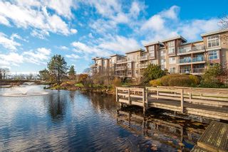 Photo 31: 329 5700 ANDREWS Road in Richmond: Steveston South Condo for sale in "RIVERS REACH" : MLS®# R2634060