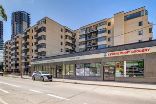 Photo 3: 316 111 14 Avenue SE in Calgary: Beltline Apartment for sale : MLS®# A1229303