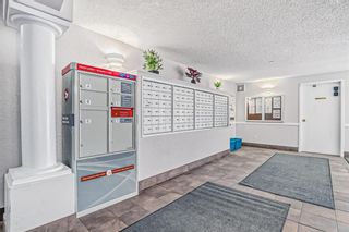 Photo 33: 1216 6224 17 Avenue SE in Calgary: Red Carpet Apartment for sale : MLS®# A2011855