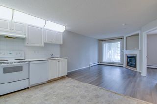 Photo 3: 124 260 Shawville Way SE in Calgary: Shawnessy Apartment for sale : MLS®# A2054690