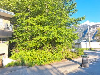 Main Photo: 38478 BUCKLEY Avenue in Squamish: Downtown SQ Land Commercial for sale : MLS®# C8059974