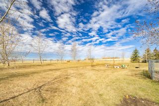 Photo 45: 14119 Big Hill Springs Road in Rural Rocky View County: Rural Rocky View MD Detached for sale : MLS®# A2122040