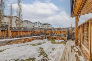Photo 31: 21 COVILLE Bay NE in Calgary: Coventry Hills Detached for sale : MLS®# A2013434