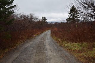 Photo 7: Lot 3 101 Highway in Plympton: Digby County Vacant Land for sale (Annapolis Valley)  : MLS®# 202306552