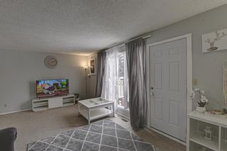 Photo 4: 53 & 55 Dovercliffe Way SE in Calgary: Dover Duplex for sale : MLS®# A1178005
