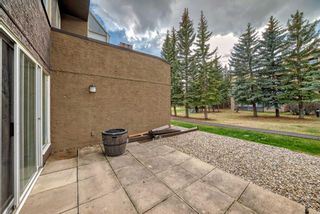 Photo 26: 8 219 Village Terrace SW in Calgary: Patterson Apartment for sale : MLS®# A2114641
