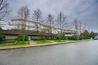 Photo 18: 110 3051 AIREY Drive in Richmond: West Cambie Condo for sale in "BRIDGEPORT COURT" : MLS®# R2233165