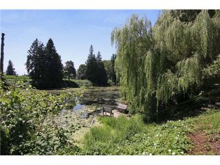 Photo 15: 48045 ROSE Road in Chilliwack: Fairfield Island House for sale : MLS®# H2150441