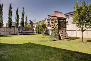 Photo 41: 40 BRIGHTONCREST Manor SE in Calgary: New Brighton Detached for sale : MLS®# A1016747