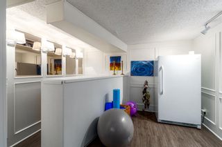 Photo 29: 8216 Churchill Drive SW in Calgary: Chinook Park Detached for sale : MLS®# A2018700