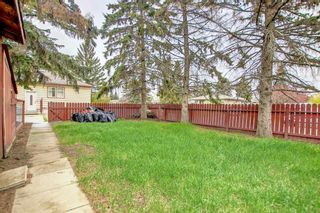Photo 33: 1702 50 Street SE in Calgary: Forest Lawn Detached for sale : MLS®# A1253727