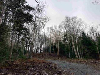 Photo 3: Lot 53 Anderson Drive in Goldenville: 303-Guysborough County Vacant Land for sale (Highland Region)  : MLS®# 202129136