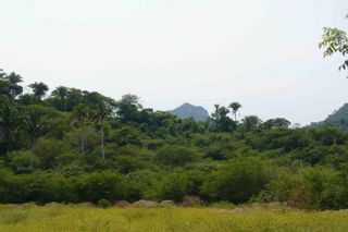 Photo 8:  in Riviera Nayarit: Land for sale