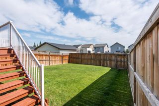 Photo 28: 341 Silverado Plains Circle SW in Calgary: Silverado Detached for sale : MLS®# A1254873