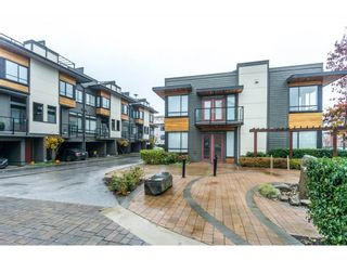 Photo 1: 6 7811 209 Street in Langley: Willoughby Heights Townhouse for sale : MLS®# R2320054