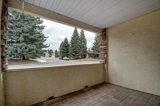 Photo 20: 103 2144 Paliswood Road SW in Calgary: Palliser Apartment for sale : MLS®# A1208516