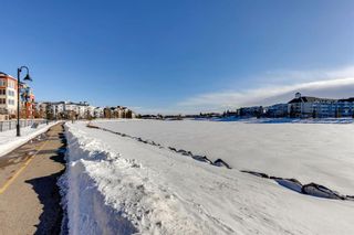 Photo 39: 306 120 Country Village Circle NE in Calgary: Country Hills Village Apartment for sale : MLS®# A2032649