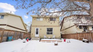 Photo 34: 300 Berwick Drive NW in Calgary: Beddington Heights Detached for sale : MLS®# A2118693