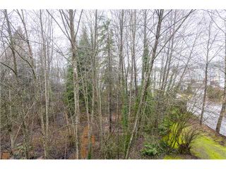 Photo 14: 18 2978 WALTON Avenue in Coquitlam: Canyon Springs Townhouse for sale in "CREEK TERRACE" : MLS®# V1049837