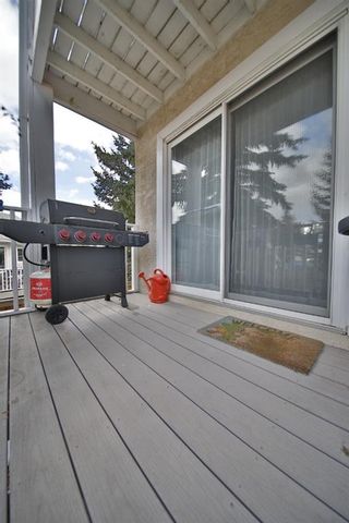 Photo 33: 10 388 Sandarac Drive NW in Calgary: Sandstone Valley Row/Townhouse for sale : MLS®# A1181075