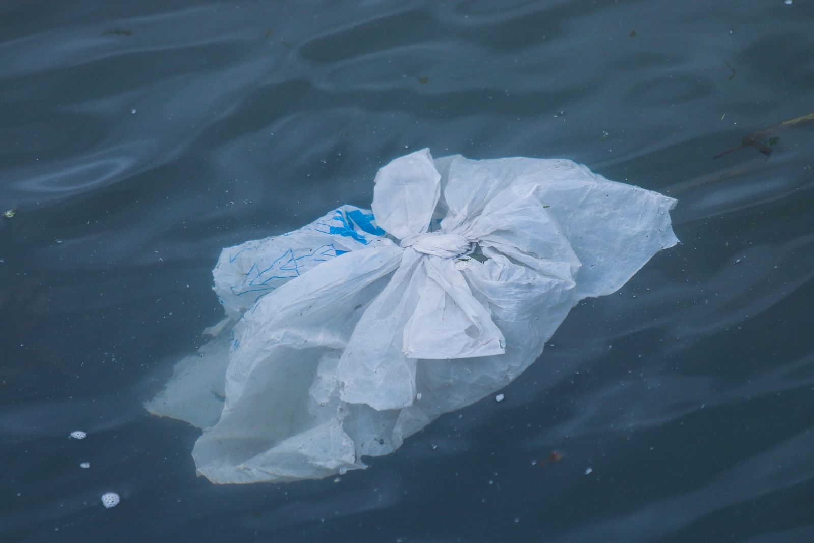 Provide input on prospective City of Vancouver plastic bag ban