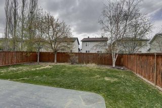 Photo 29: 59 Chapala Way SE in Calgary: Chaparral Detached for sale : MLS®# A1217282