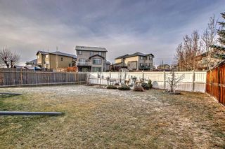Photo 41: 485 MARINA Drive: Chestermere Detached for sale : MLS®# A2095909