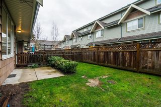 Photo 34: 36 22977 116 Avenue in Maple Ridge: East Central Townhouse for sale in "Duet" : MLS®# R2653605