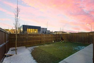 Photo 37: 23 Taracove Estate Drive NE in Calgary: Taradale Detached for sale : MLS®# A2124428