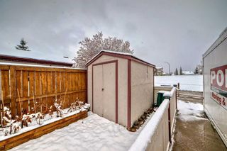 Photo 38: 163 Eversyde Circle SW in Calgary: Evergreen Detached for sale : MLS®# A2123062