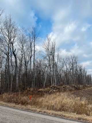 Photo 6: 2819 Cowell  Road: North Gower Vacant Land for sale (Ottawa)  : MLS®# 1369947
